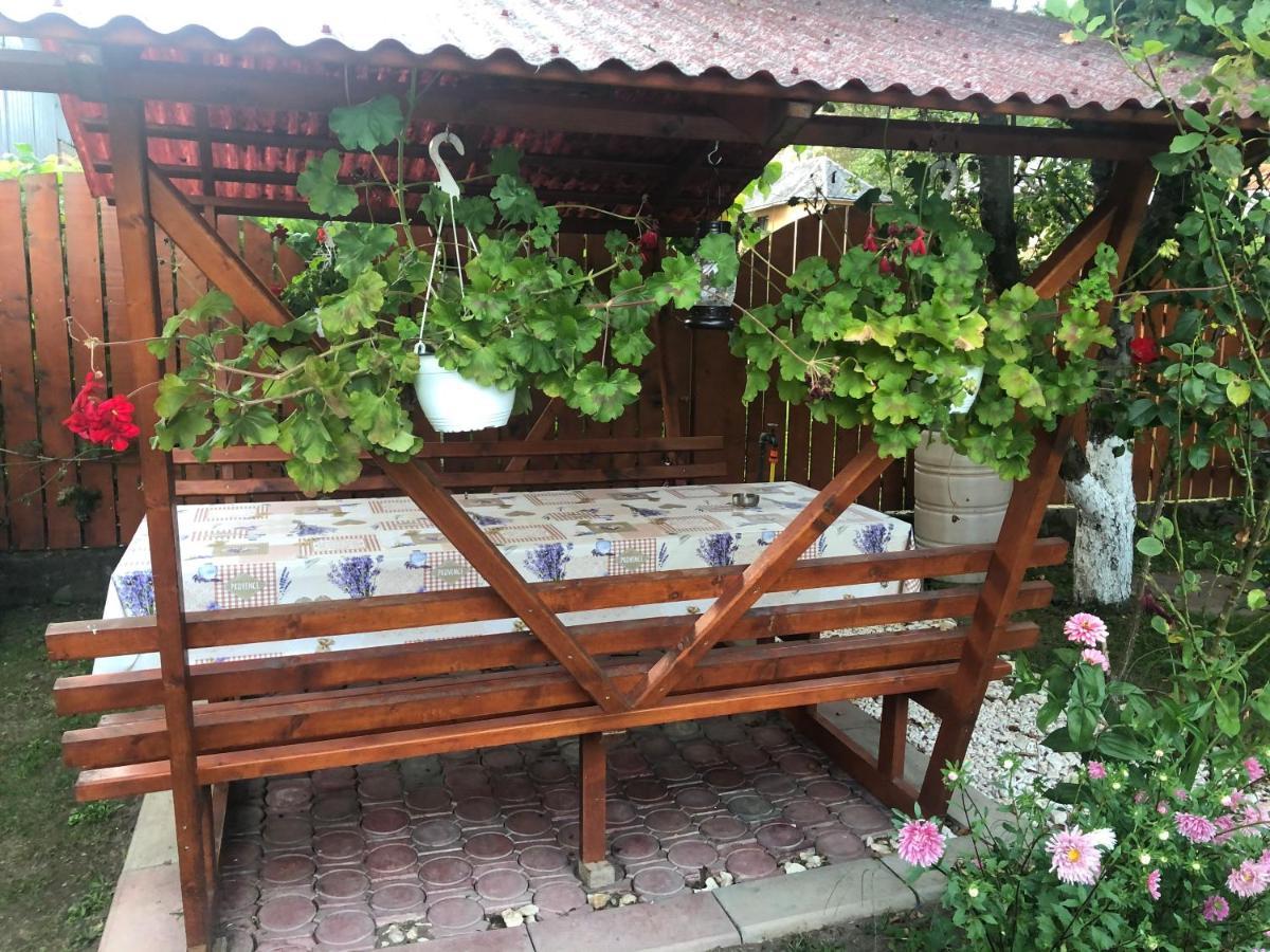 Casa Todea Cîmpeni Exterior foto